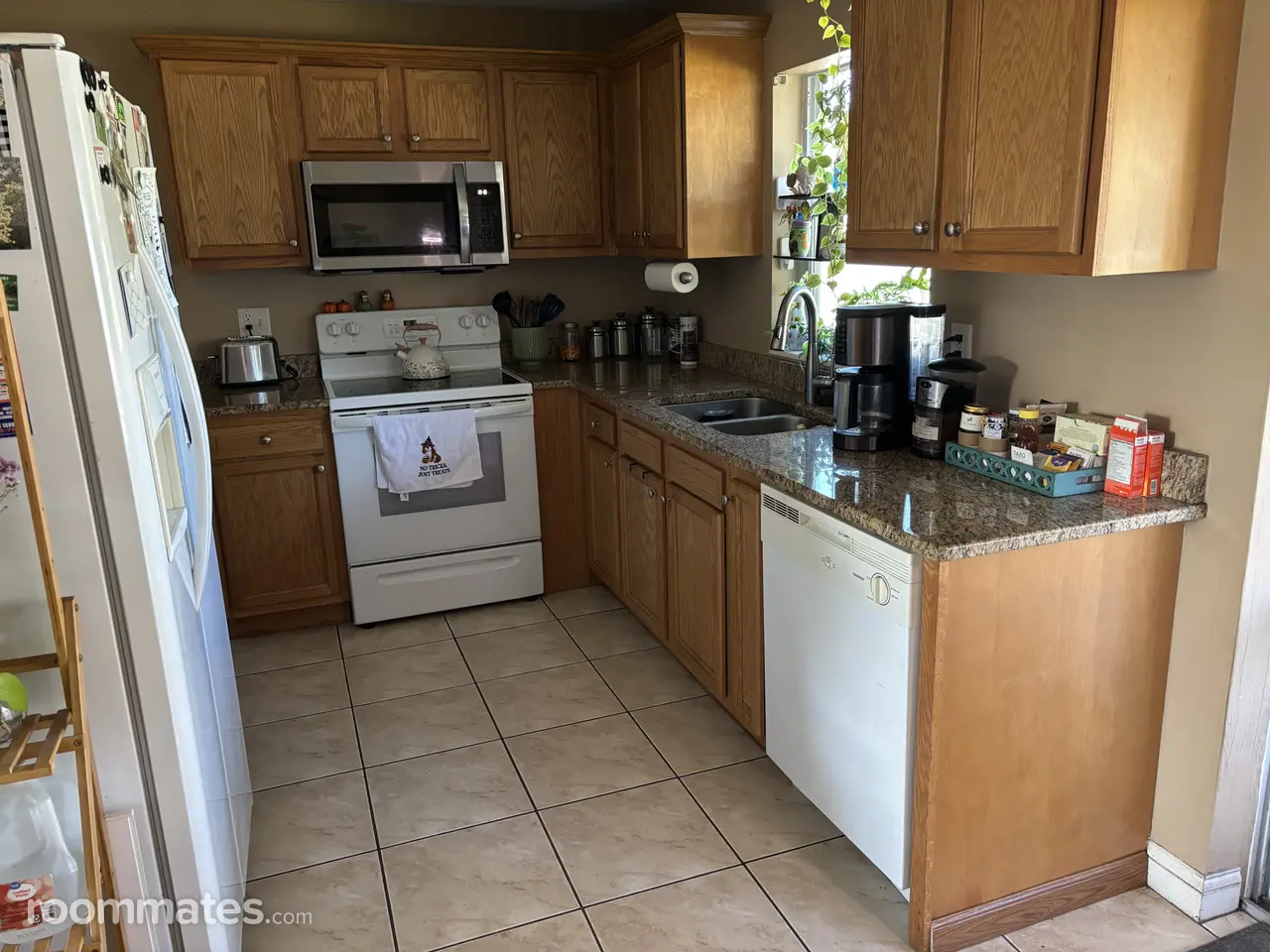 Profile photo 2 of 13