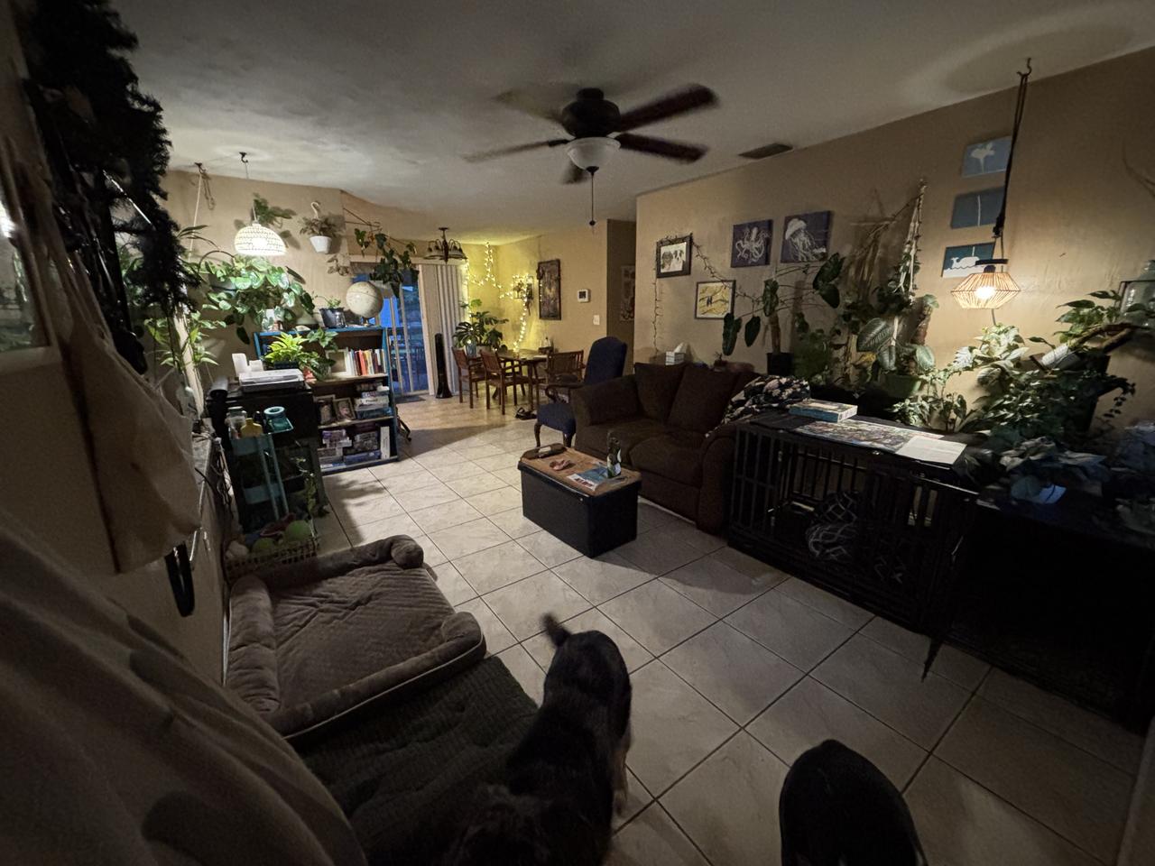 Profile photo 5 of 13