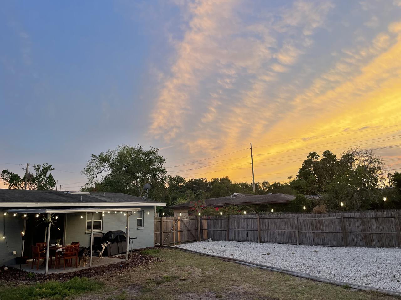 Profile photo 4 of 13