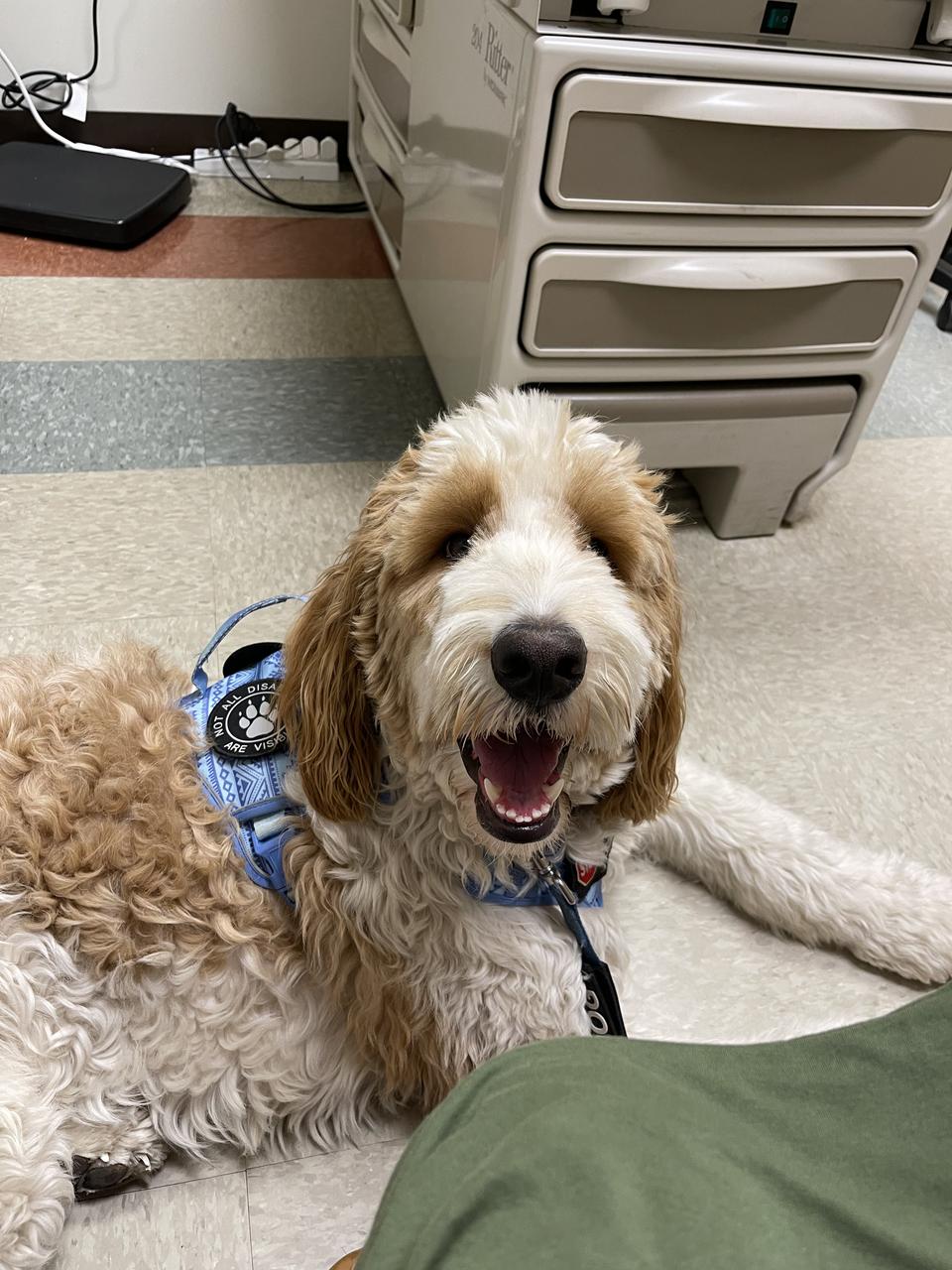 Profile photo 5 of 7