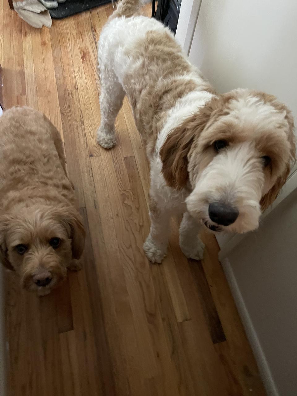 Profile photo 4 of 7