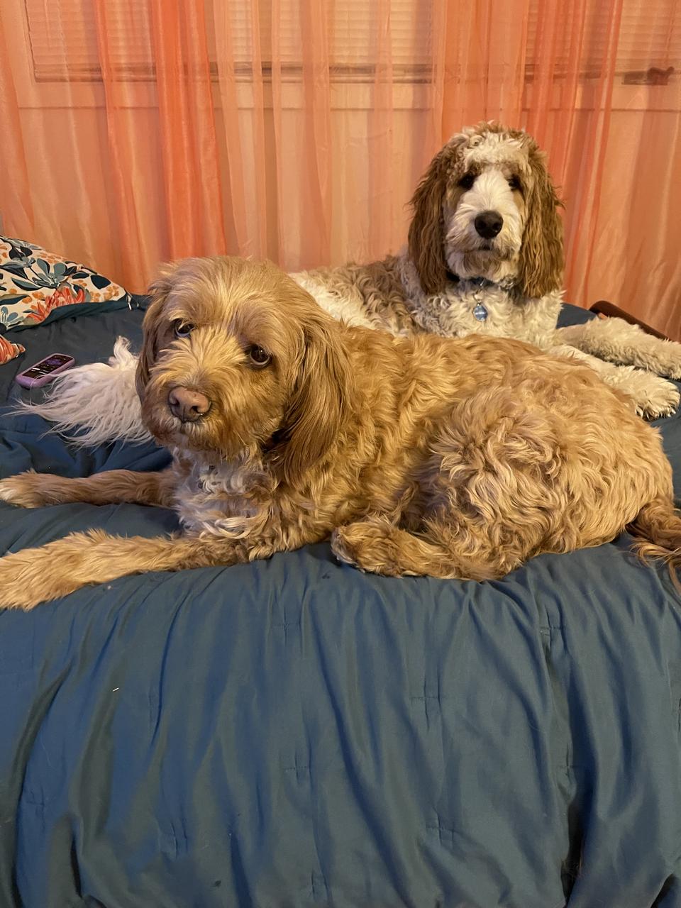 Profile photo 2 of 7