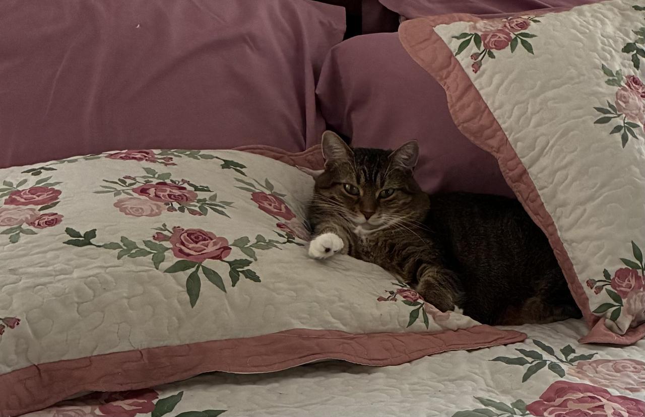 Profile photo 1 of 1