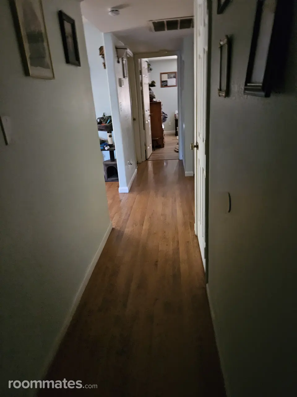 Profile photo 2 of 4