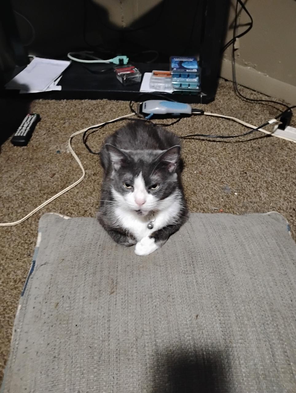 Profile photo 10 of 12