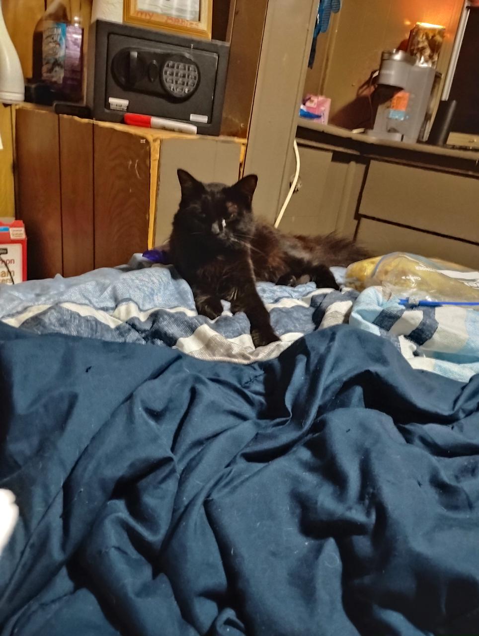 Profile photo 11 of 12