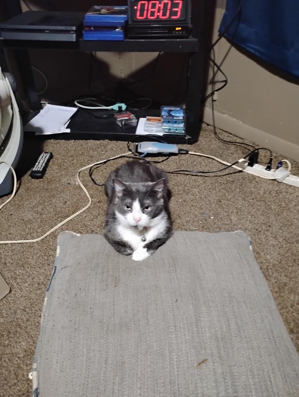 Profile photo 9 of 12