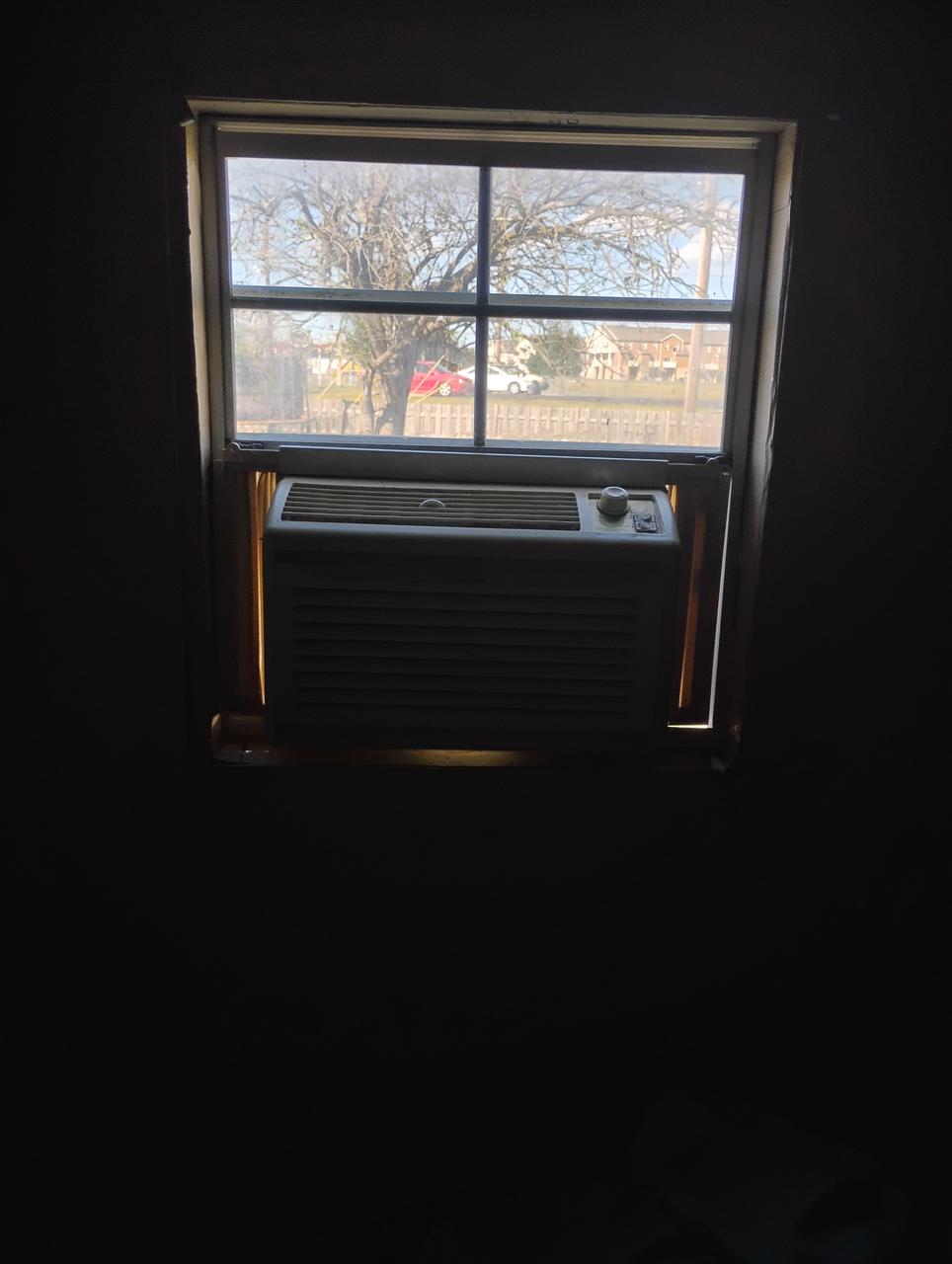 Profile photo 2 of 12