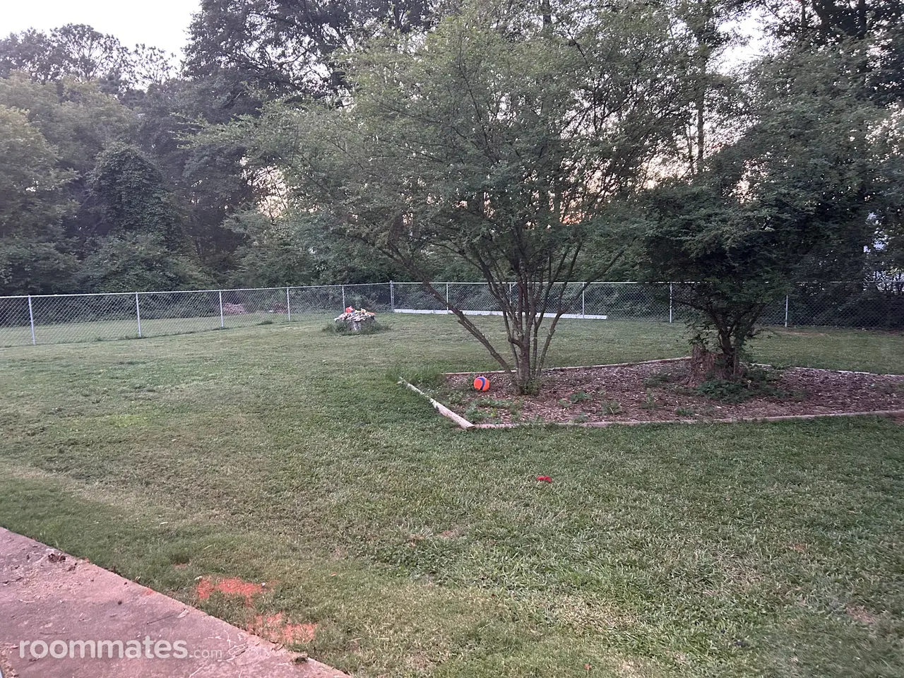 Profile photo 7 of 13