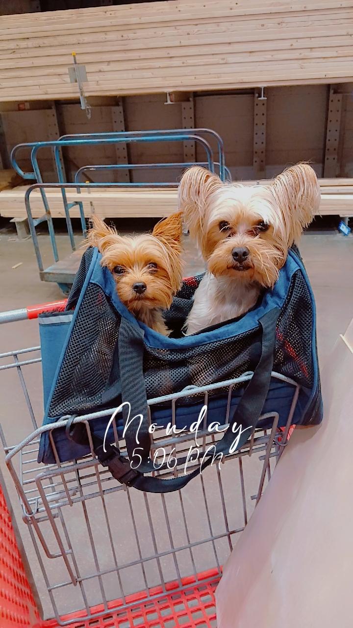 Profile photo 8 of 8