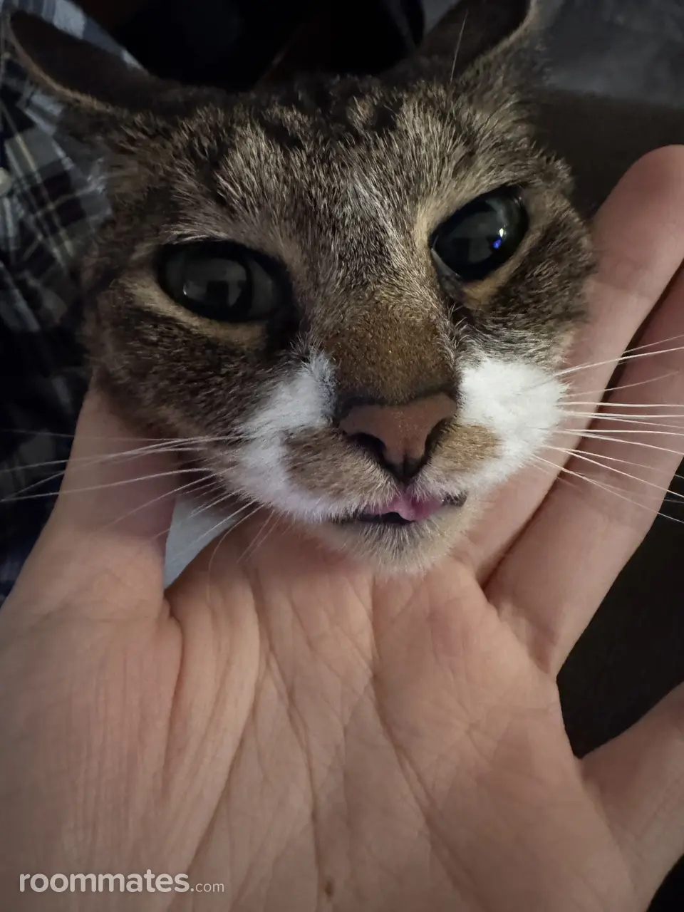 Profile photo 3 of 4