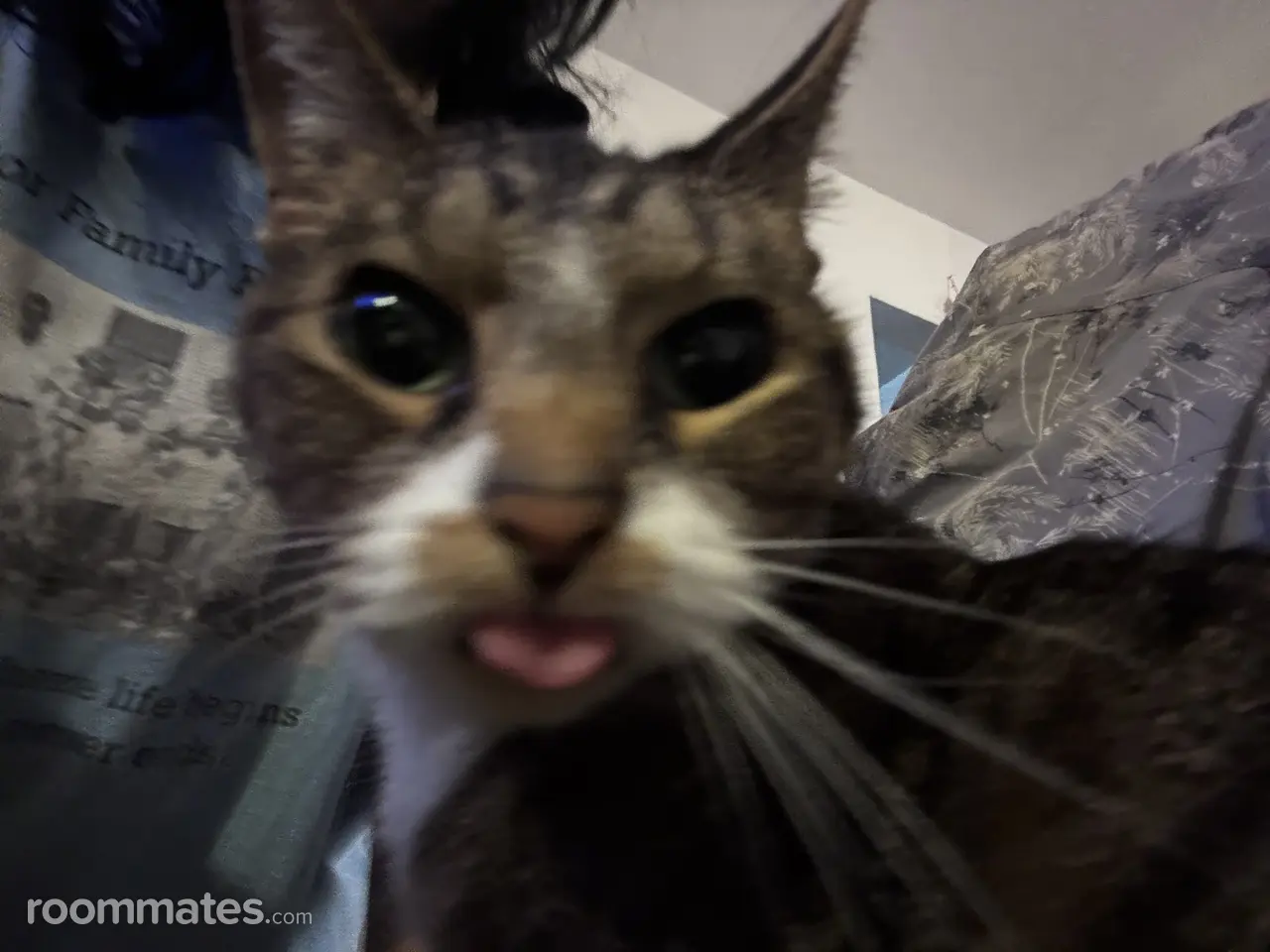 Profile photo 4 of 4