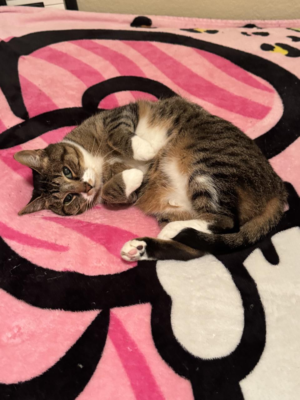 Profile photo 2 of 4