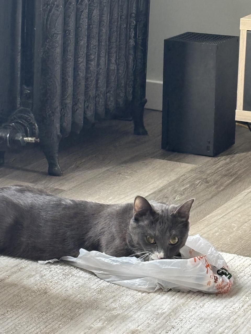 Profile photo 13 of 15