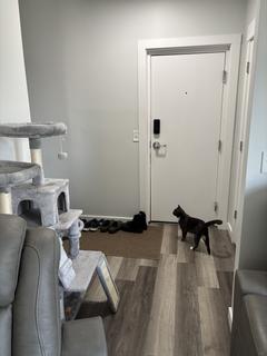 Room for rent in Minneapolis, MN $300, condo