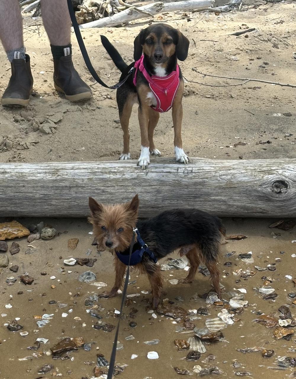 Profile photo 2 of 2