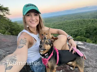 Roommate looking Greenville, SC, $800