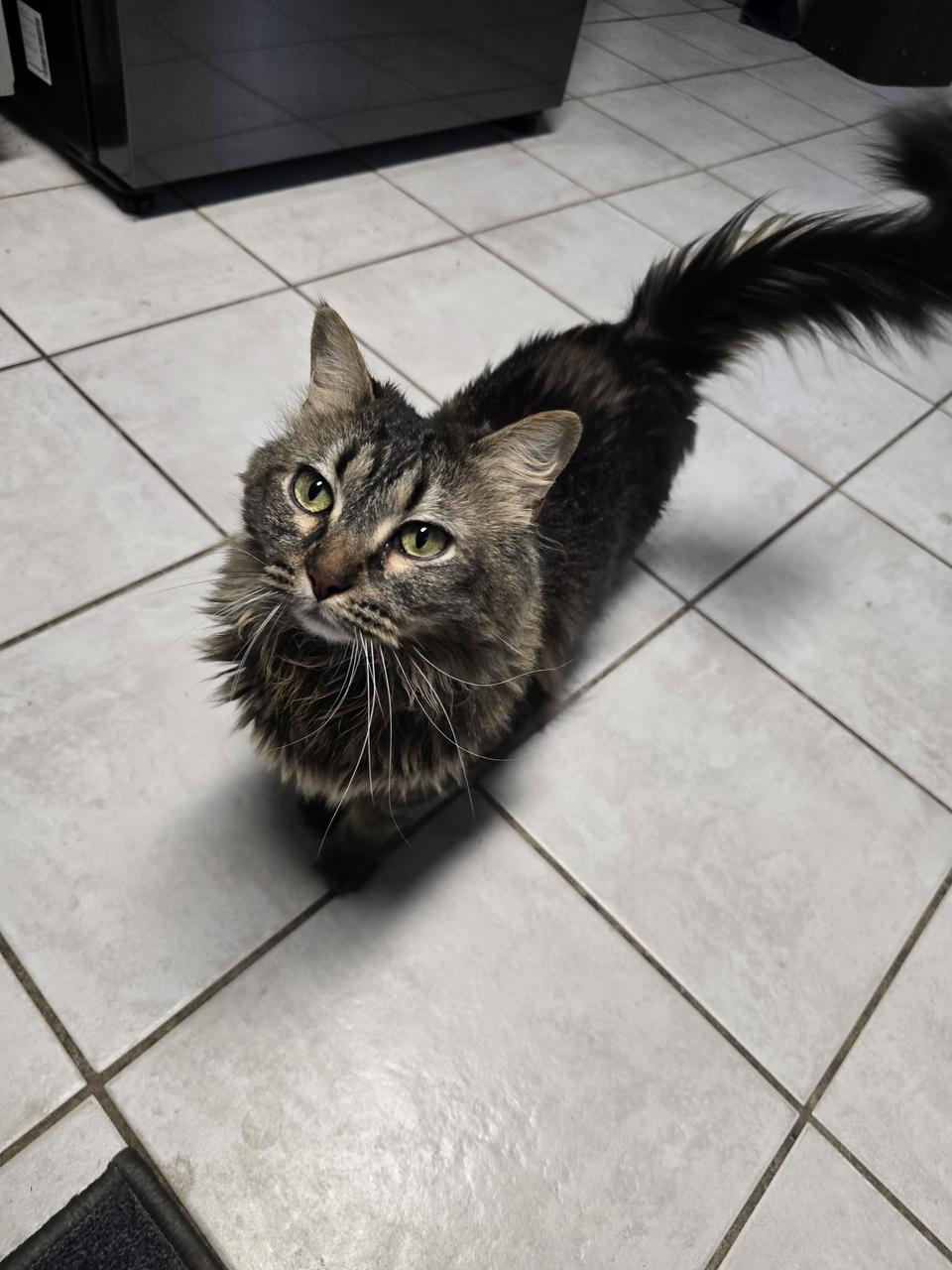 Profile photo 14 of 15