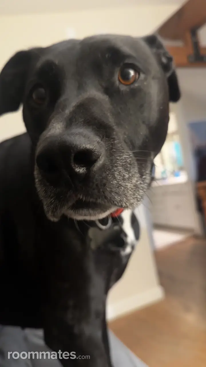 Profile photo 2 of 6