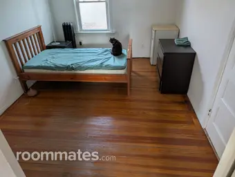 Room for rent in Providence, RI $600, apartment