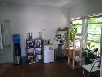 Room for rent in Providence, RI $600, apartment