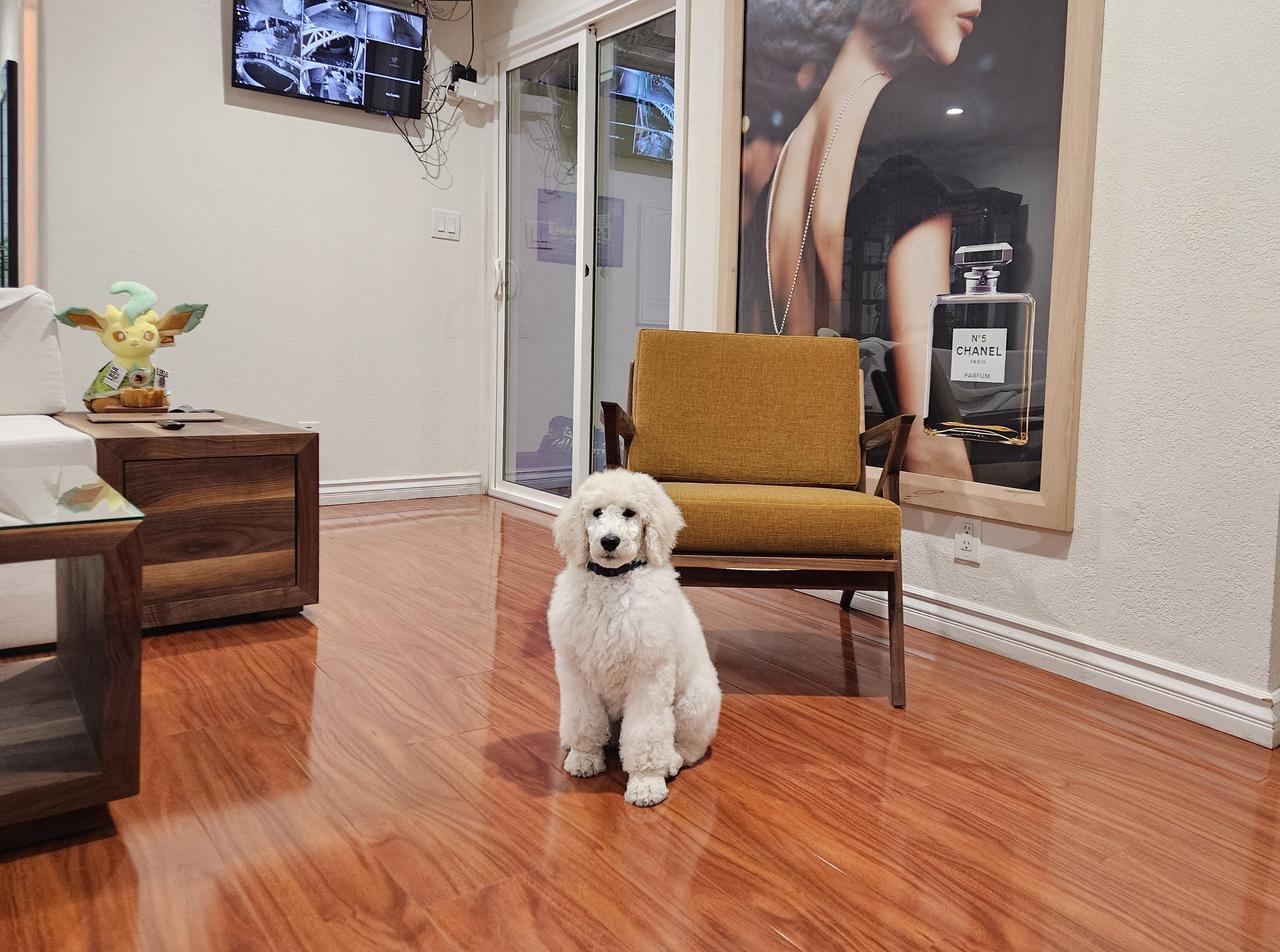 Profile photo 6 of 11