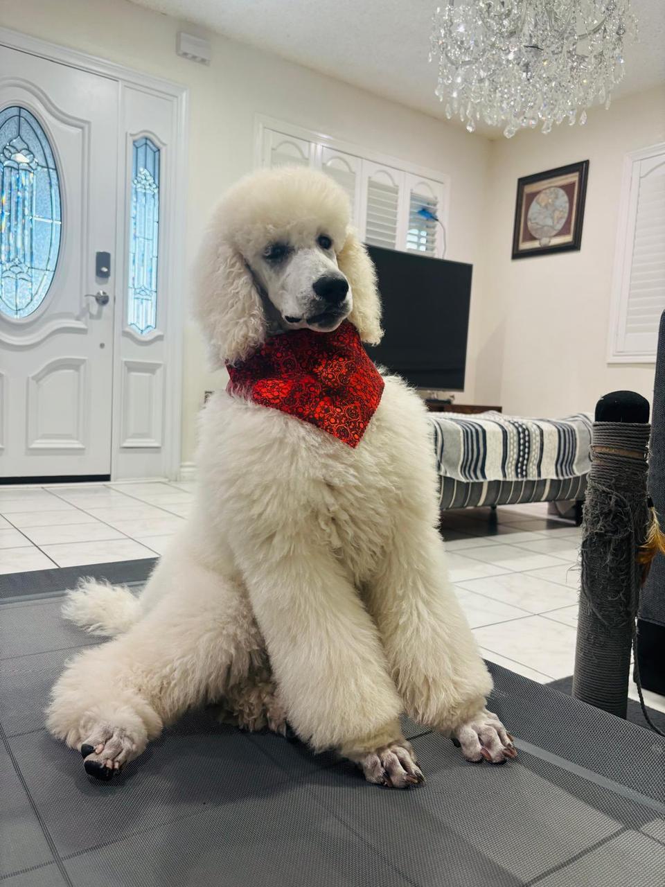 Profile photo 3 of 11