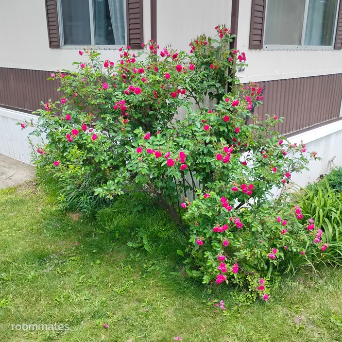 Room for rent in Mauston, WI $425, other