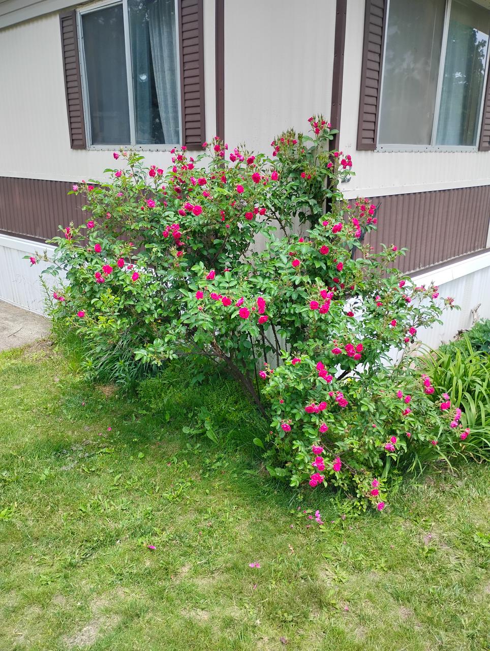 Profile photo 1 of 2