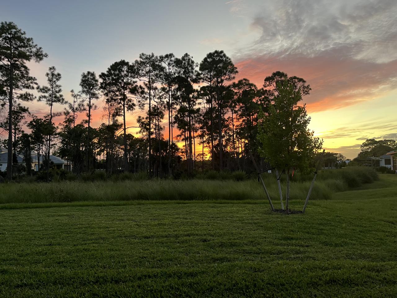 Profile photo 9 of 10