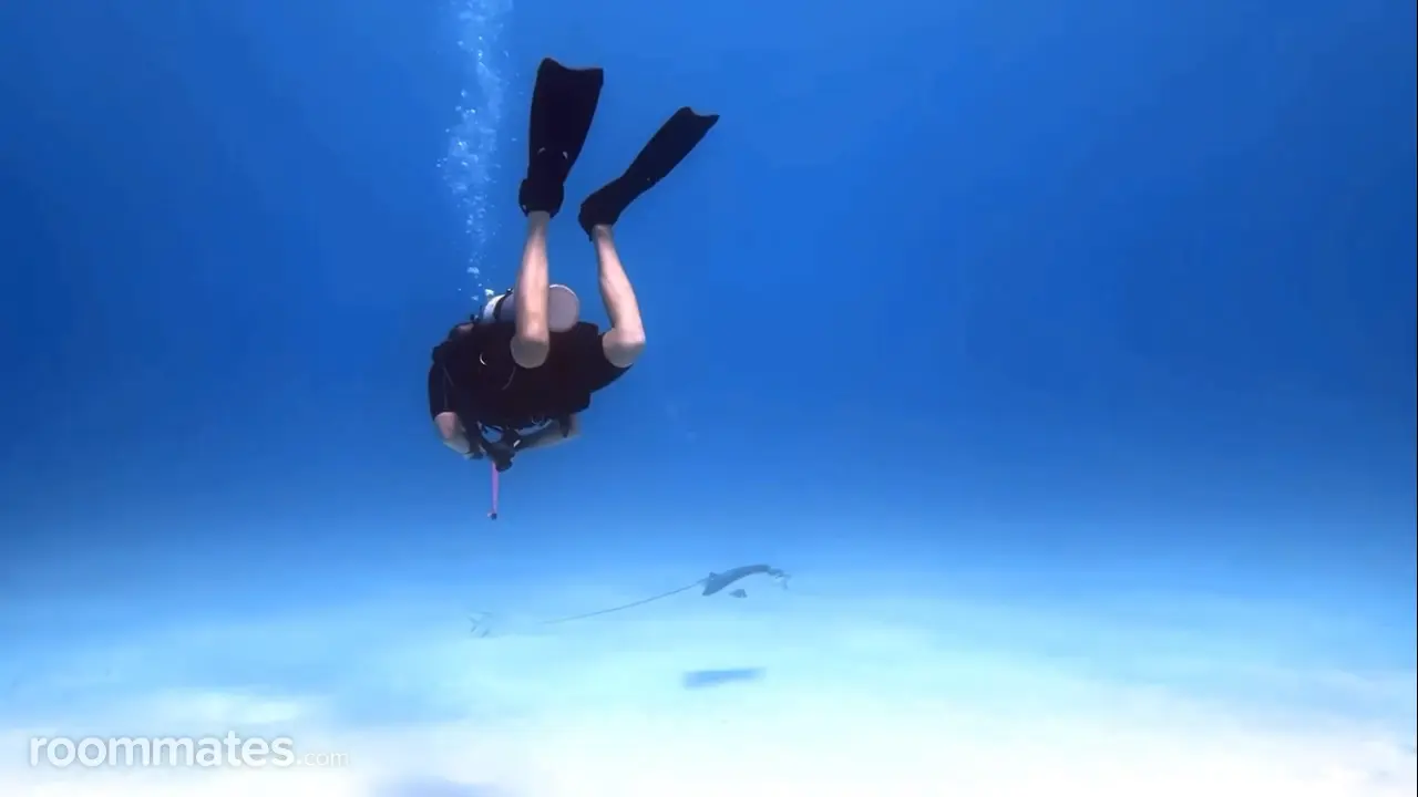 Profile photo 2 of 4