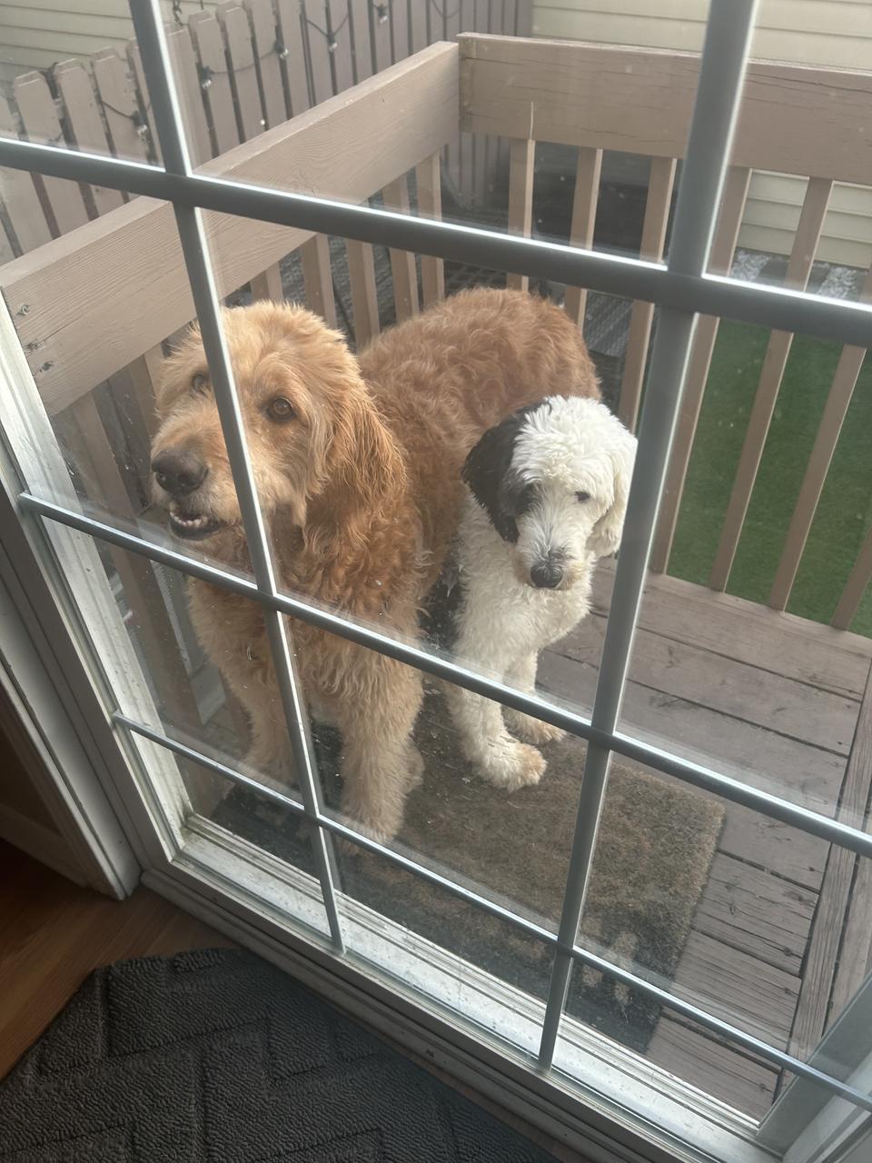 Profile photo 10 of 11