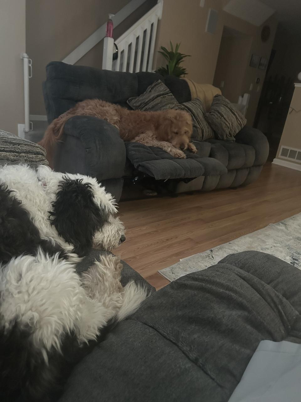 Profile photo 9 of 11