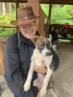 Roommate looking Mount Vernon, WA, $1300