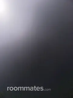 Roommate looking Hartford, CT, $2000