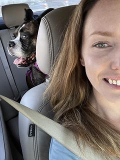 Roommate looking El Paso, TX, $800