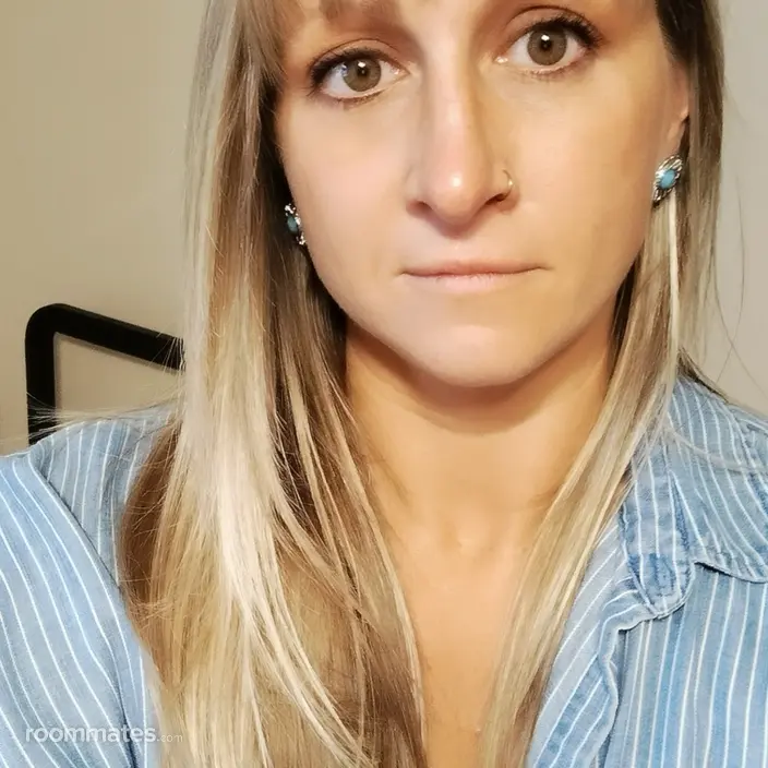 Roommate looking Sterling Heights, MI, $700