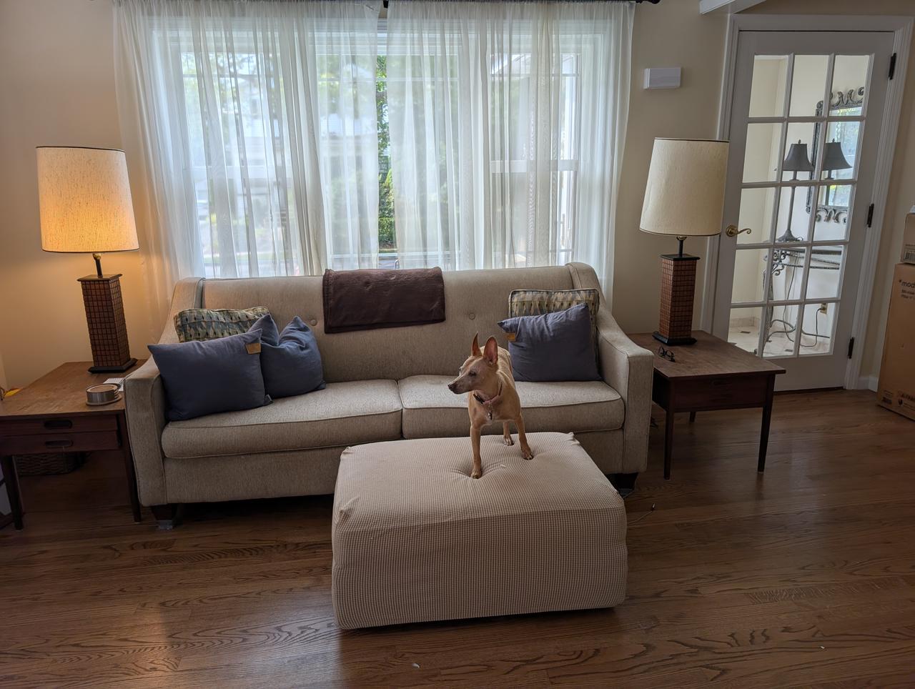 Profile photo 4 of 9