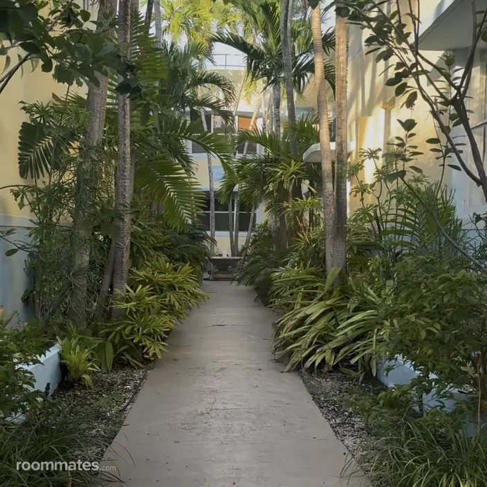 Room for rent in Miami Beach, FL $1450, apartment