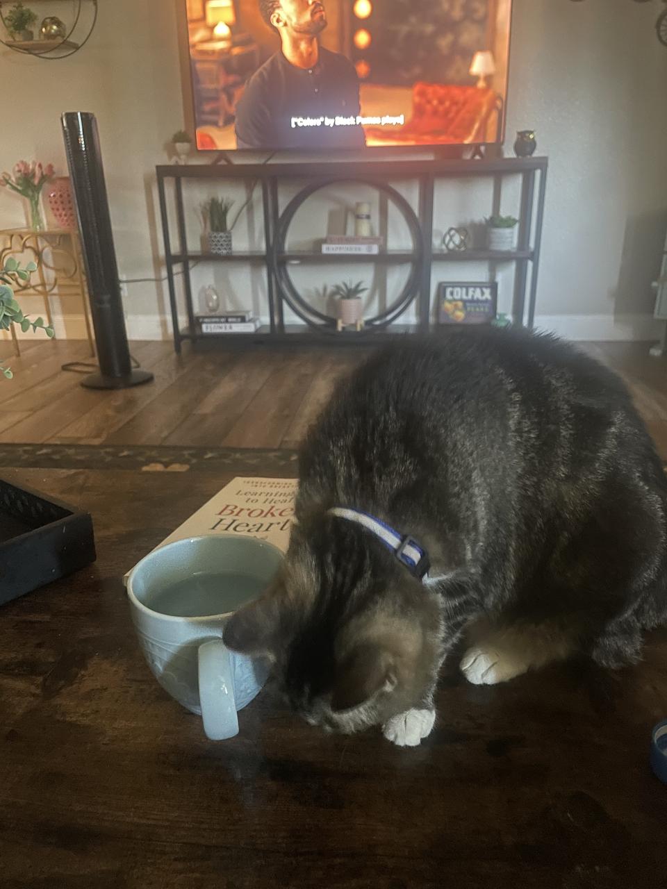 Profile photo 18 of 21