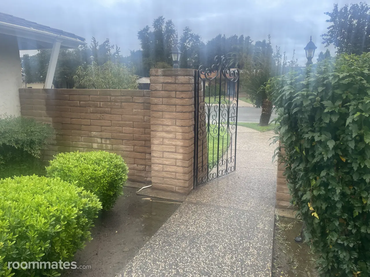 Profile photo 1 of 21