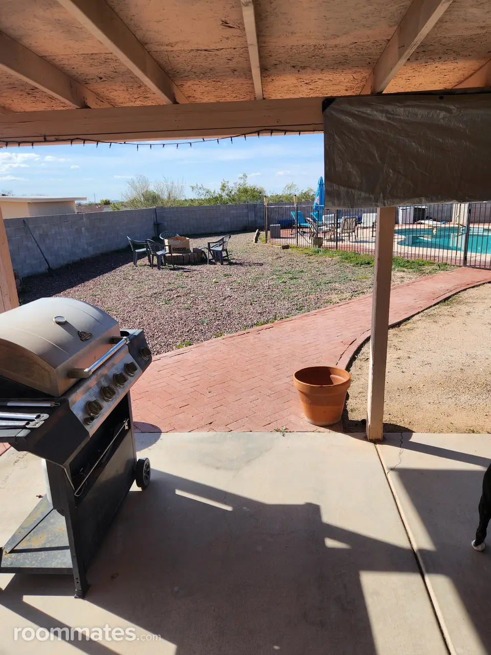 Profile photo 6 of 12