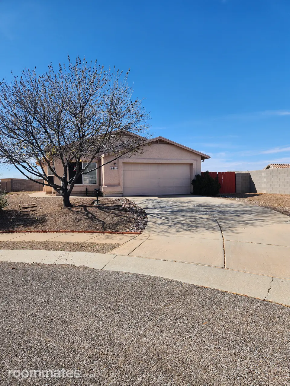 Profile photo 11 of 12