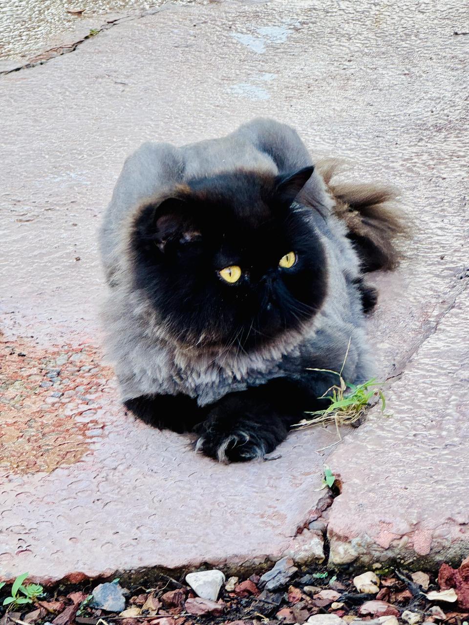 Profile photo 16 of 19