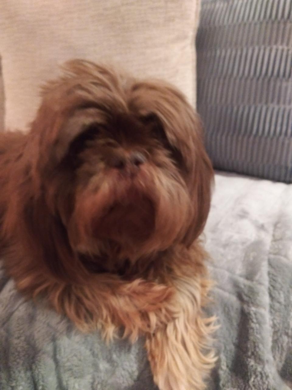 Profile photo 3 of 4