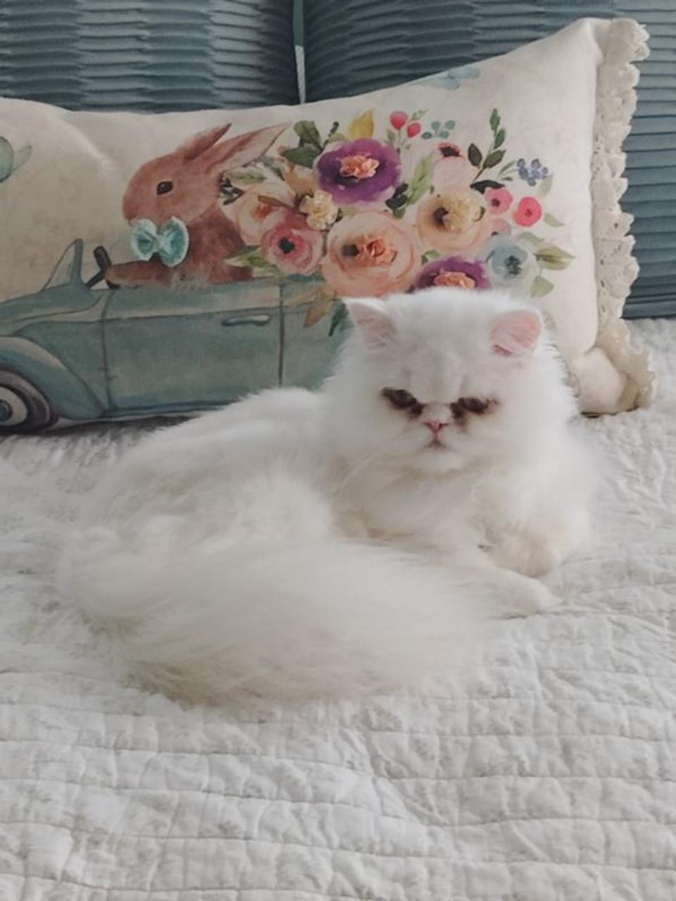 Profile photo 4 of 4