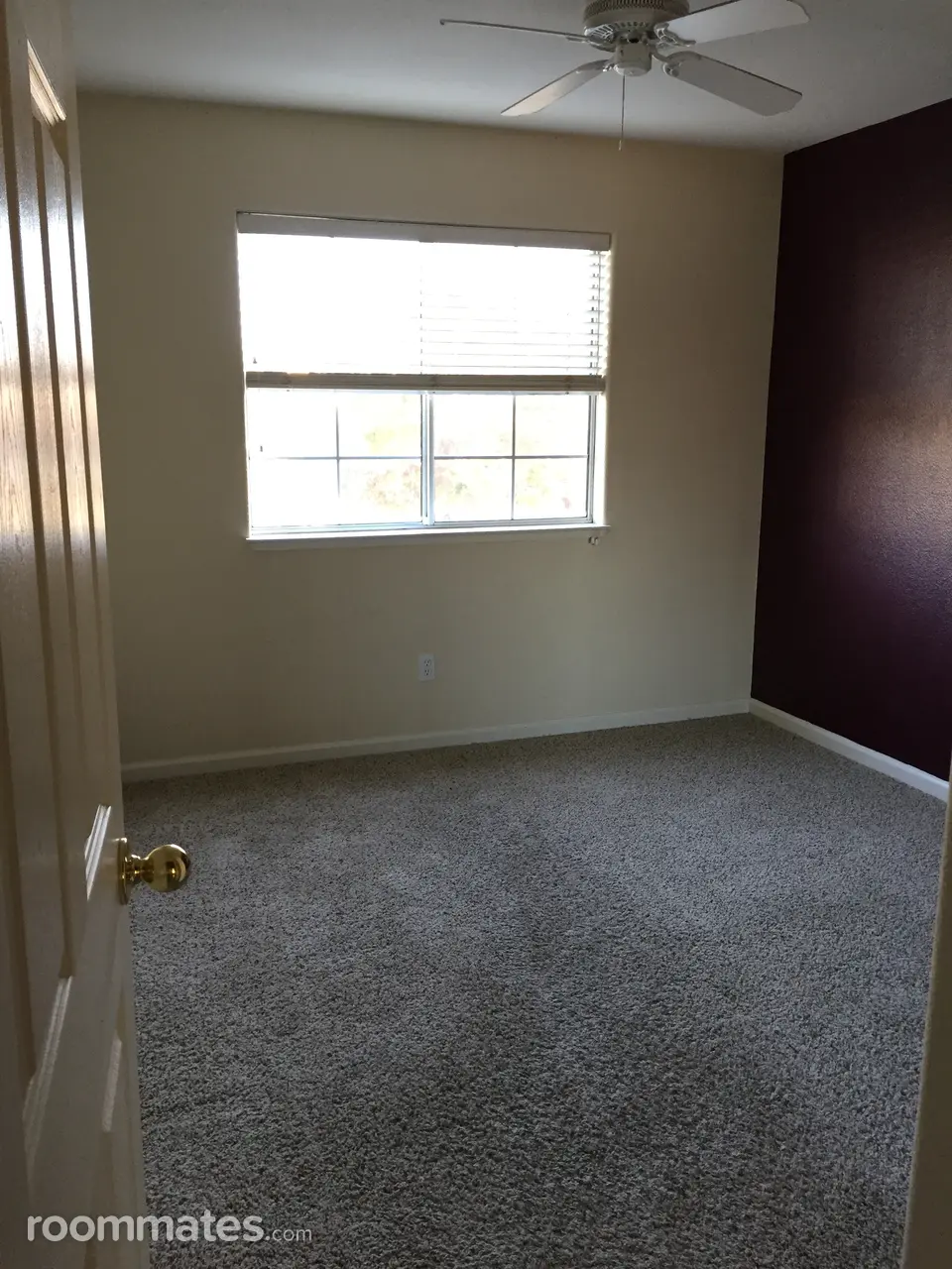 Profile photo 10 of 11