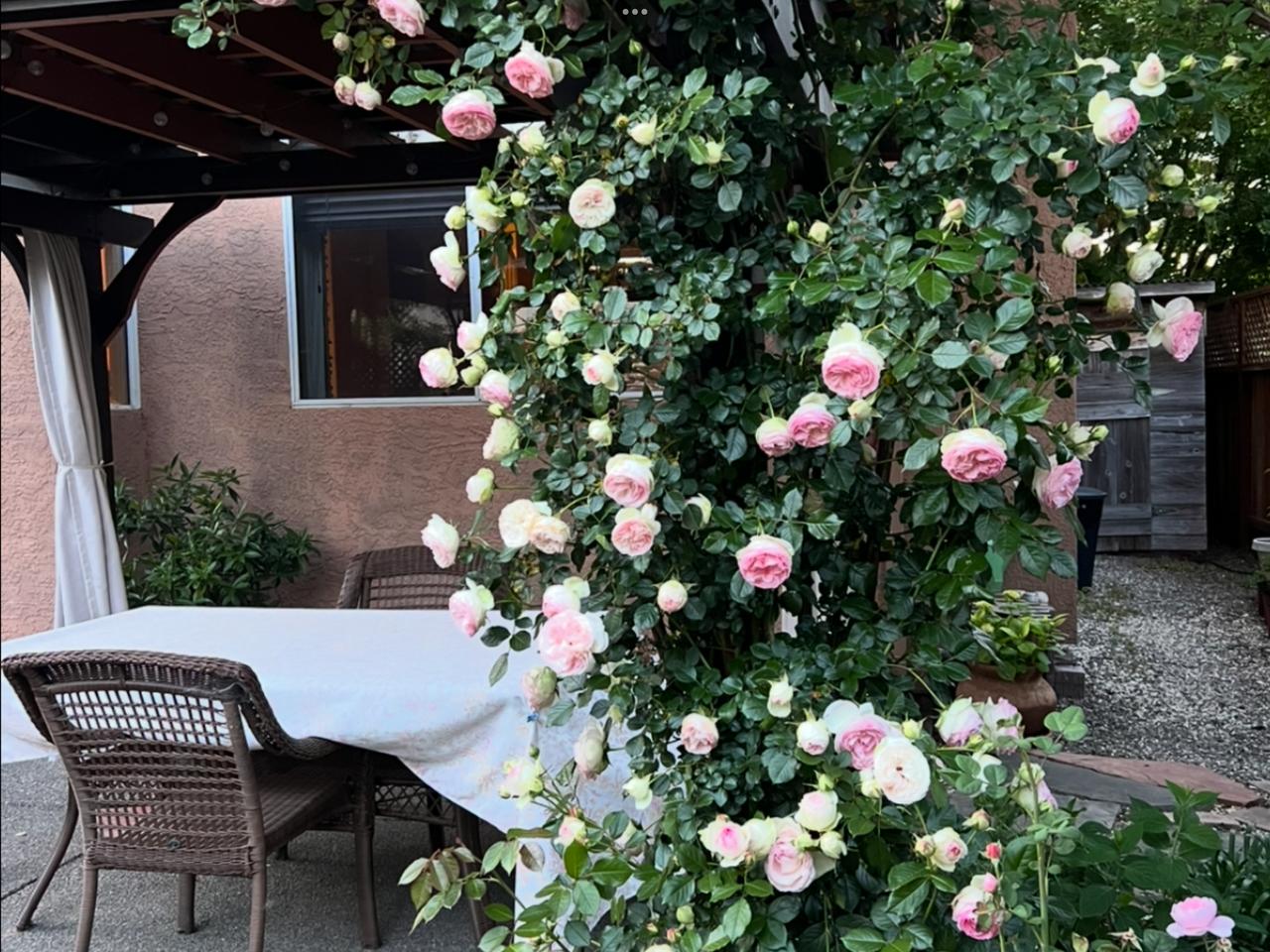 Profile photo 6 of 11