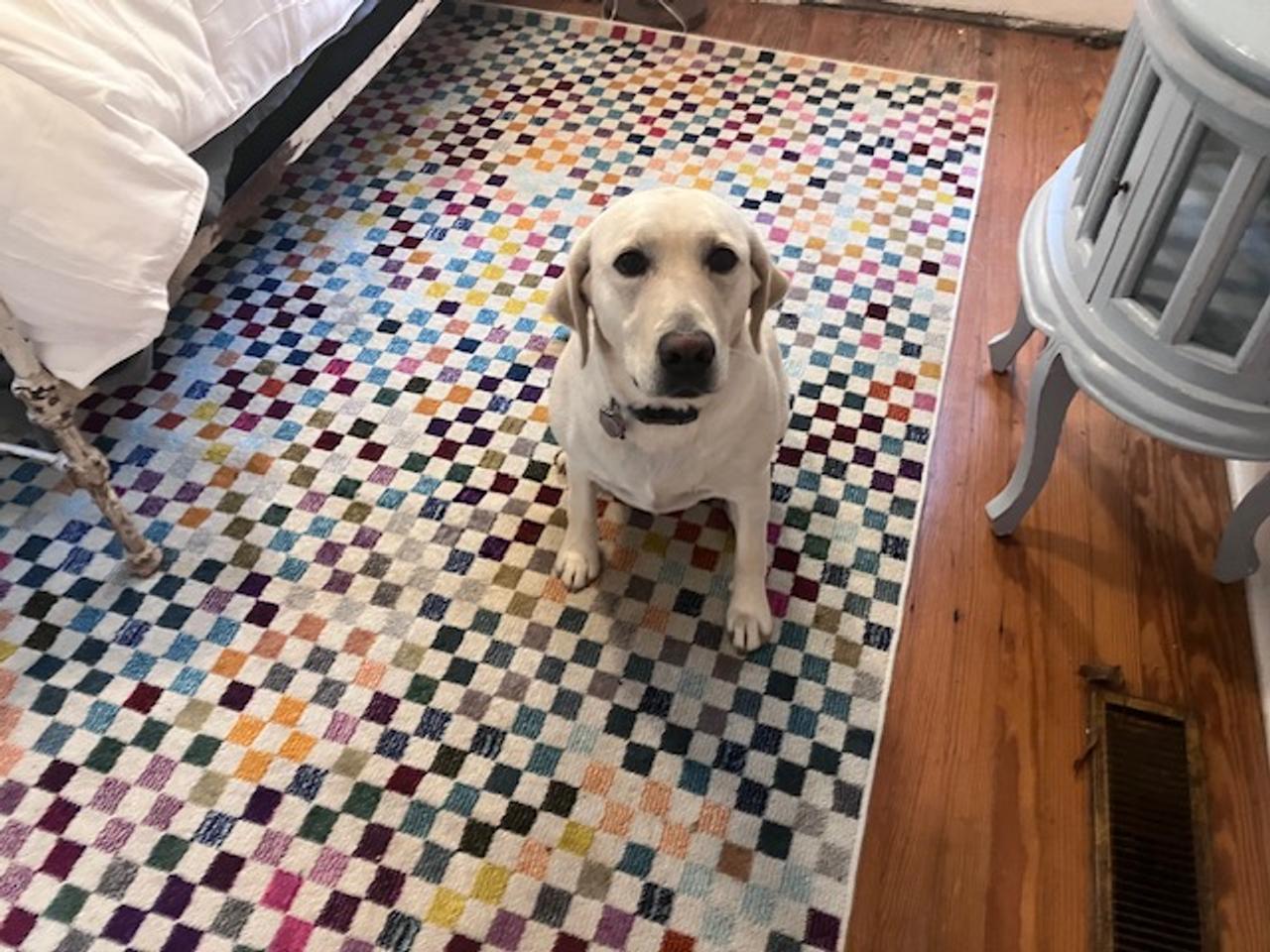 Profile photo 5 of 7