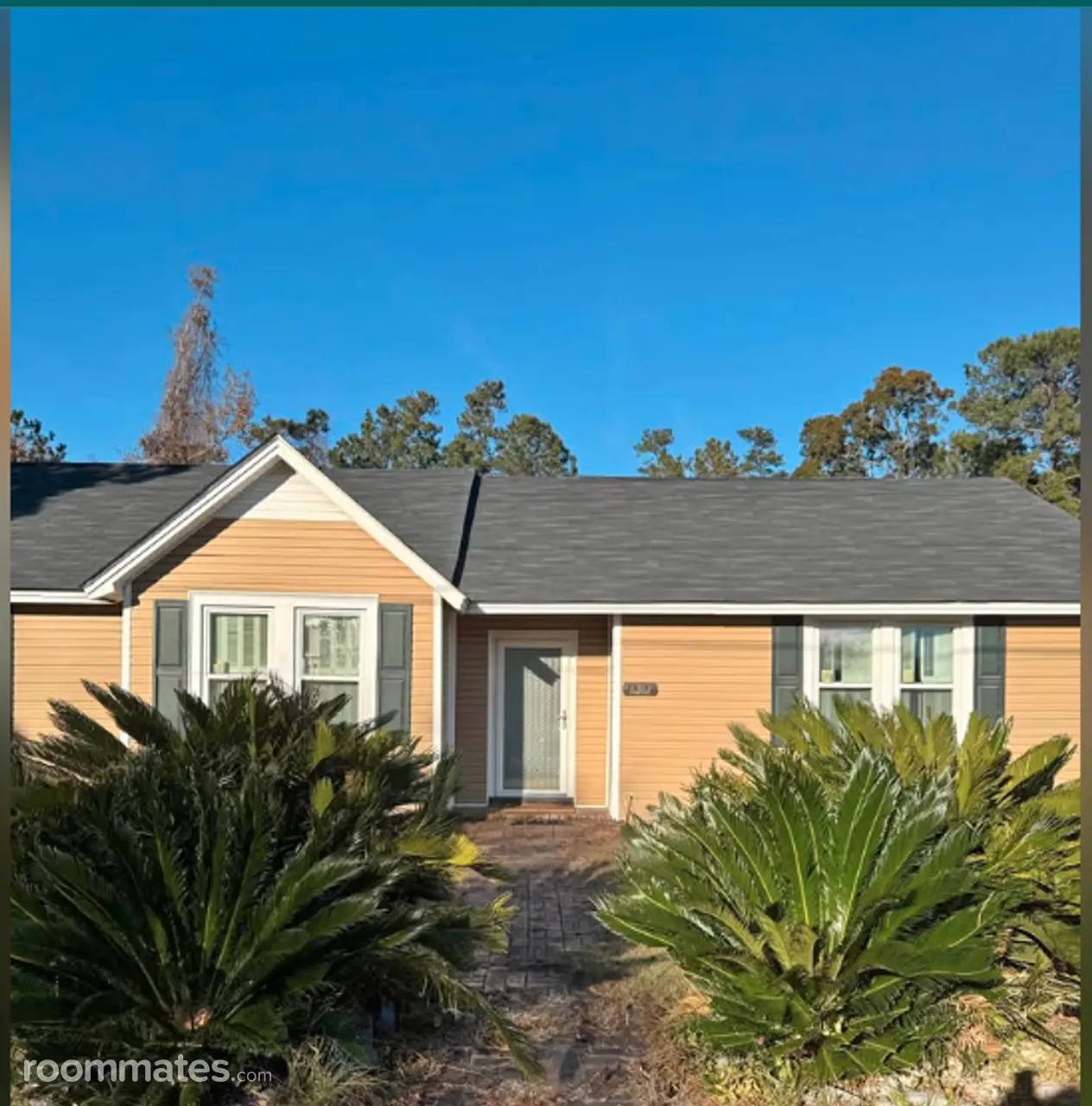 Profile photo 1 of 6